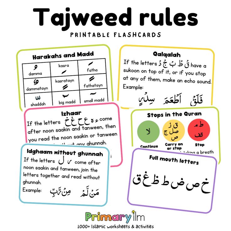 Rules in Tajweed: A Beginner-Friendly Course for Accurate Qur’anic Recitation